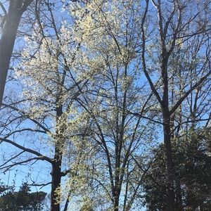 Meet your Posher, Daniela